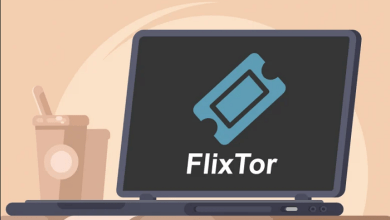 How to Use a Flixtor Proxy