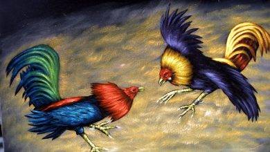 The Benefits and Disadvantages of WPC2026