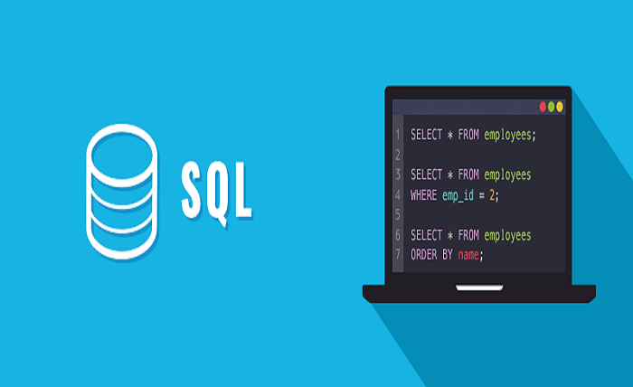 What is the Full Form of SQL MCQS