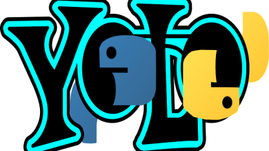 Why You Should Use YOLO Full Form